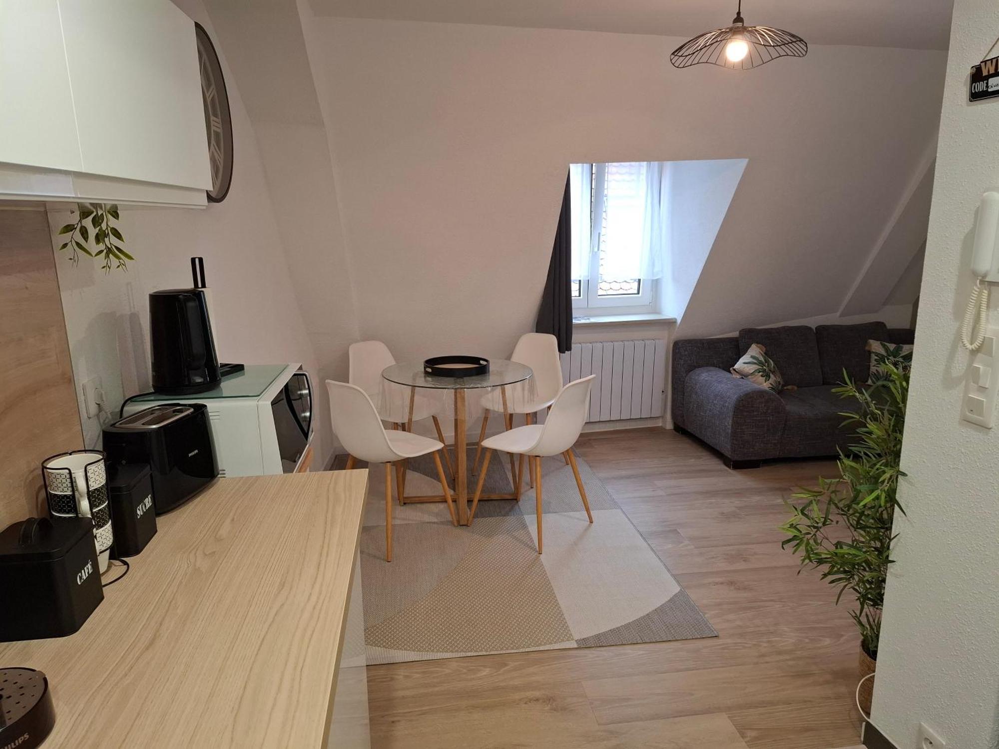 Bel Appartement, Sélestat Extérieur photo