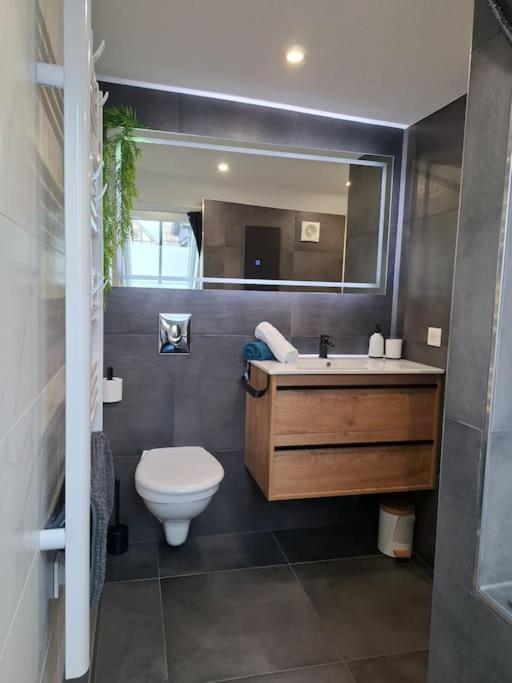 Bel Appartement, Sélestat Extérieur photo