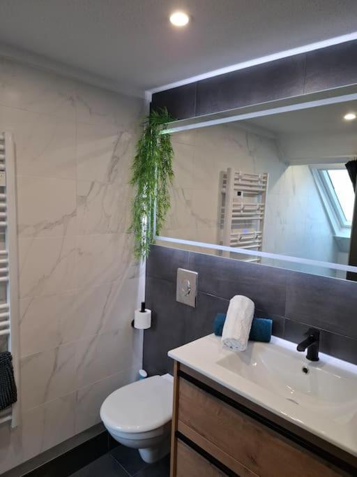Bel Appartement, Sélestat Extérieur photo